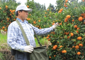 マルヨ農園　岩本治