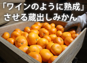 マルヨ農園の蔵出し柑橘の倉庫