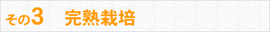 全て手作業