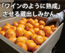 マルヨ農園の蔵出し柑橘の倉庫
