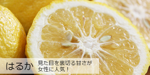 はるか