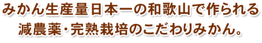 減農薬・完熟栽培の美味しいみかんを食べたことがありますか？