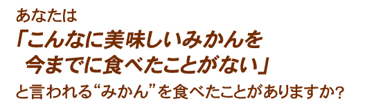 こんなに美味しいみかんを食べたことがない